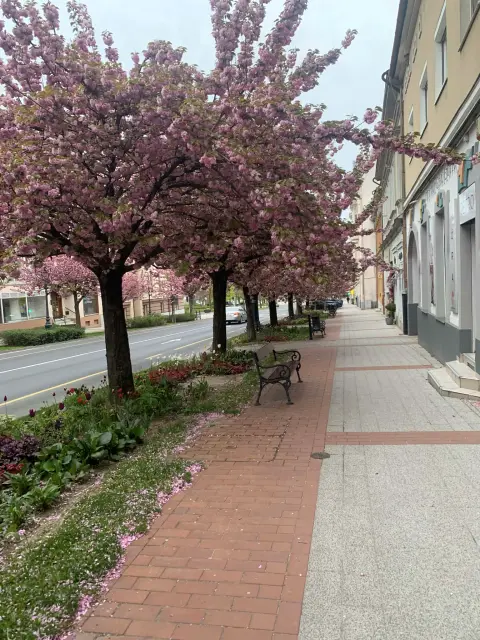 Tavasz Nagykanizsán