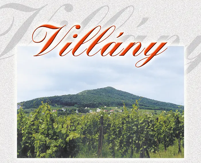 Villány, az első magyar borút szőleje, háttérben a Szársolyó.